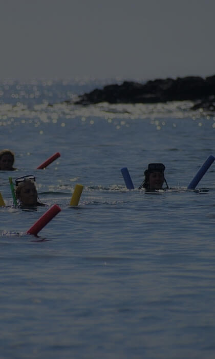 Snorkeling