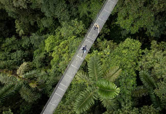 Arenal Volcano Adventure