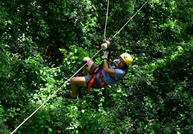 Canopy