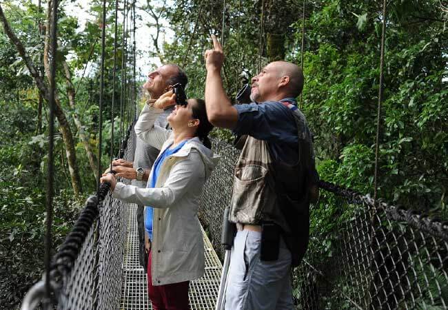 Monteverde Cloud Forest Nature