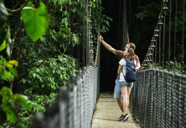 Monteverde Cloud Forest Nature