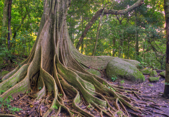 Rincón de la Vieja tour costa rica