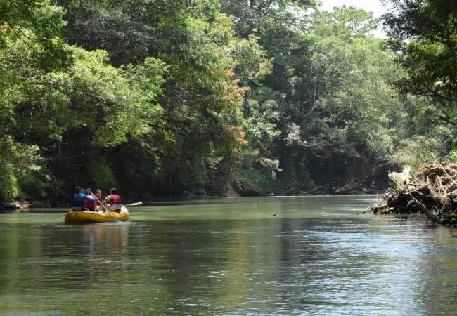 Safari Boat Tour