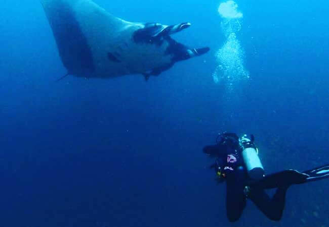 Scuba Diving