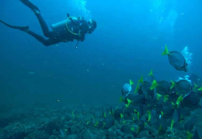 Scuba Diving