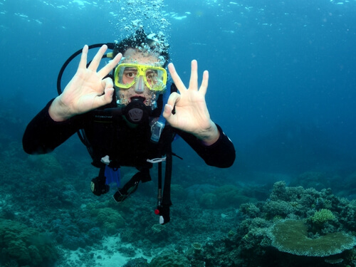 Scuba Diving Experience