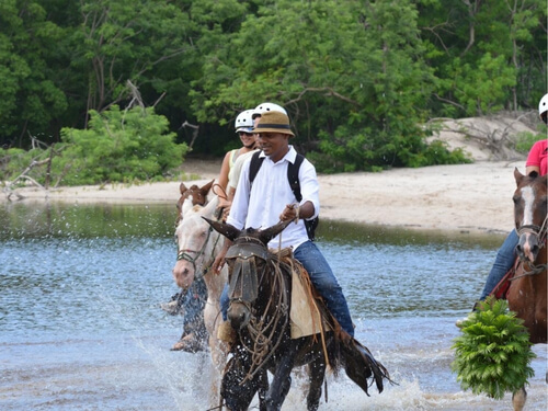 Horseback Riding Experience